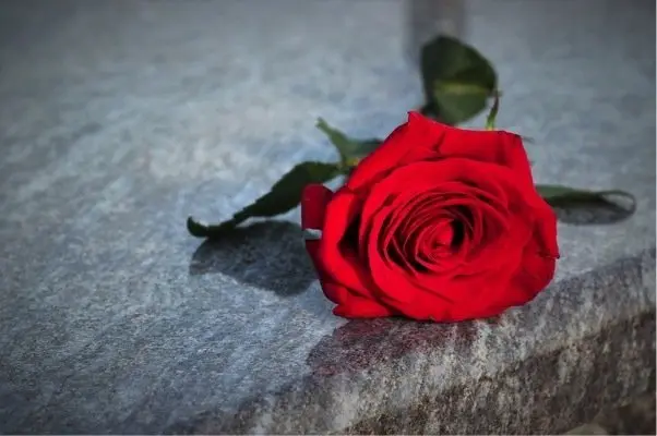 Flor