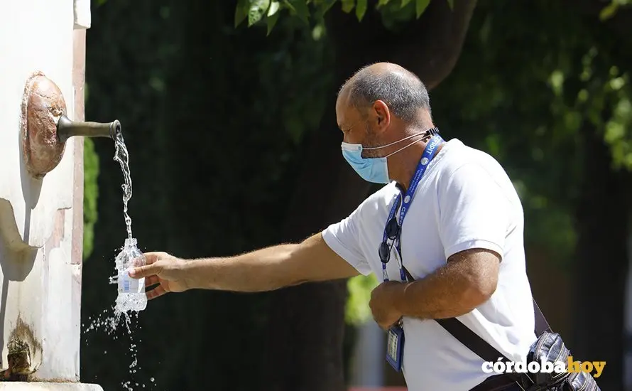 Calor 8