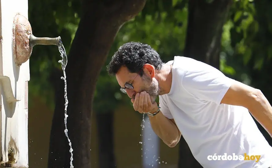 Calor