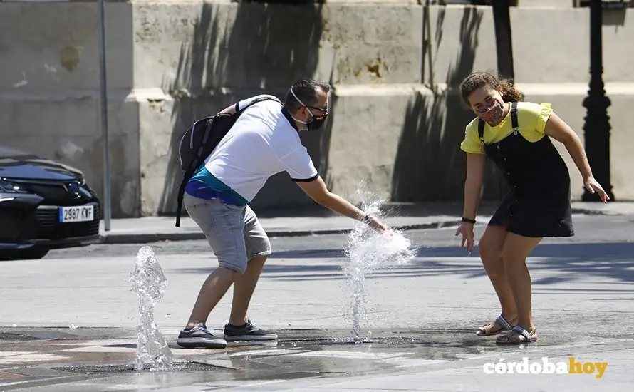 Calor 12