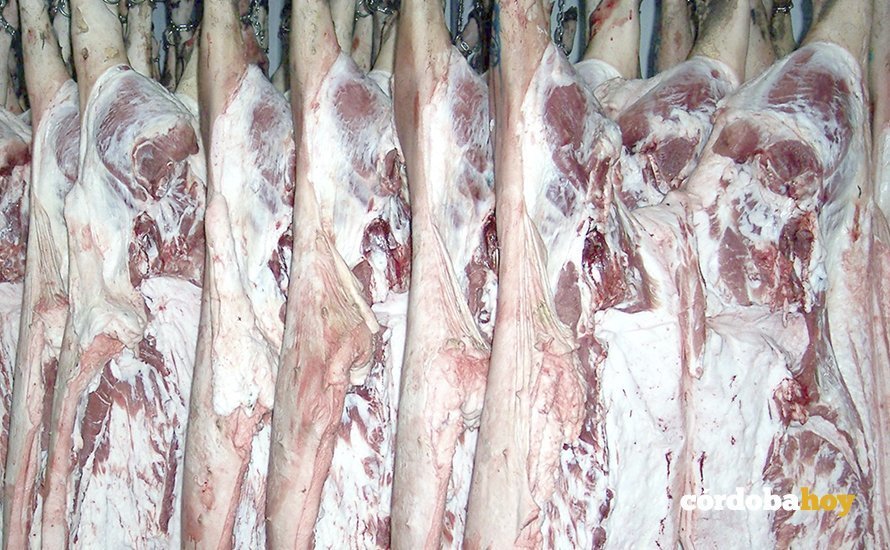 Carne de cerdo preparada para la venta
