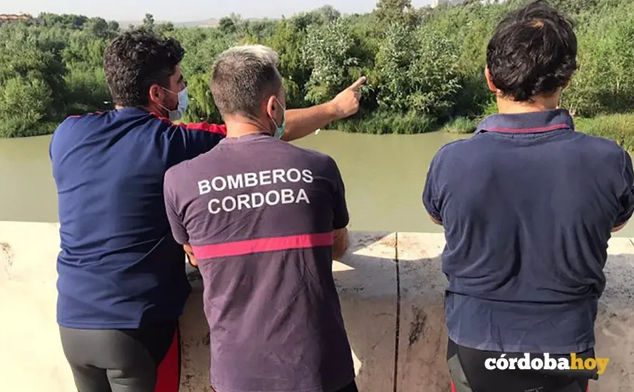 Bomberos voluntarios se unen a la b&uacute;squeda del anciano desaparecido