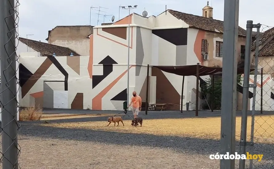 Un hombre pasea a sus perros en el solar del antiguo Cine Andaluc&iacute;a