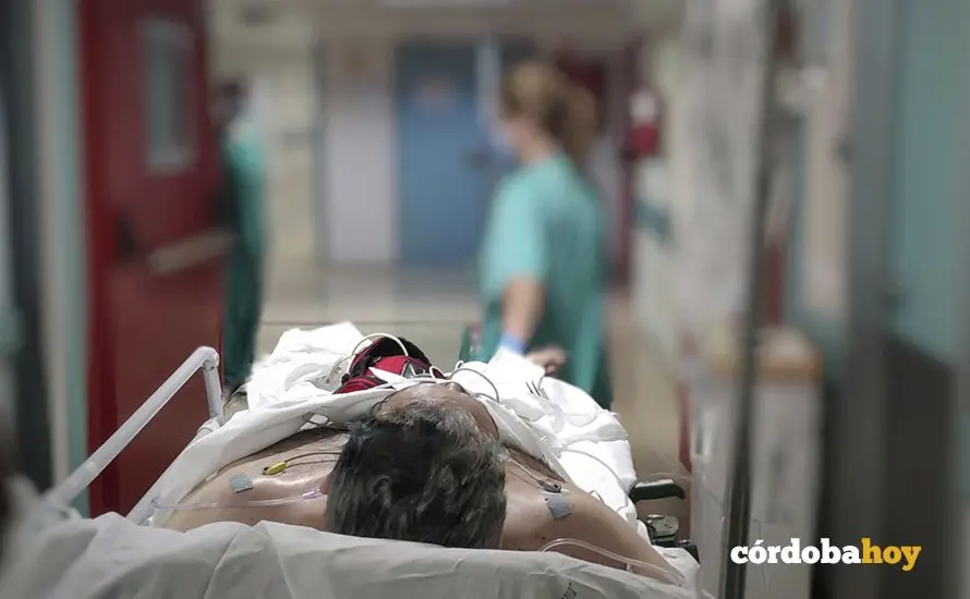 Un paciente en el Hospital Reina Sof&iacute;a