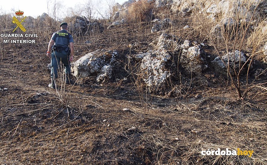 Un agente del Seprona contempla los efectos del incendio forestal