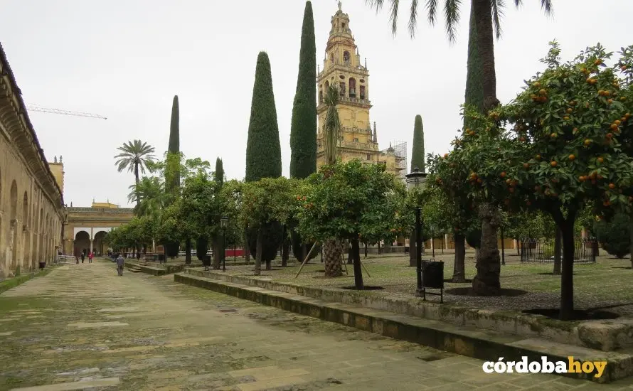 Patio de los naranjos vac&iacute;o
