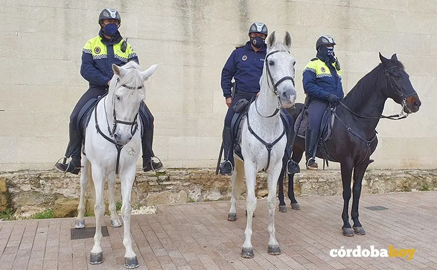 Agentes de la Polic&iacute;a Local de C&oacute;rdoba a caballo