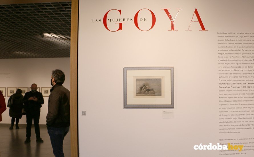 Goya 6