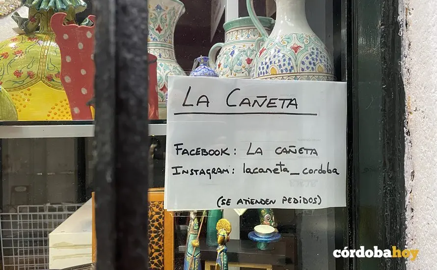 Casco 8