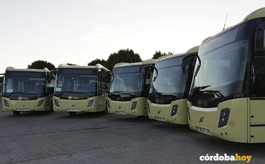 Autobuses del Consorcio de Transporte Metropolitano de Córdoba
