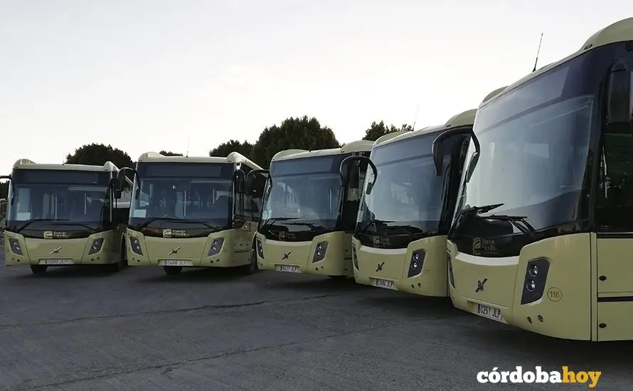 Autobuses del Consorcio de Transporte Metropolitano de C&oacute;rdoba