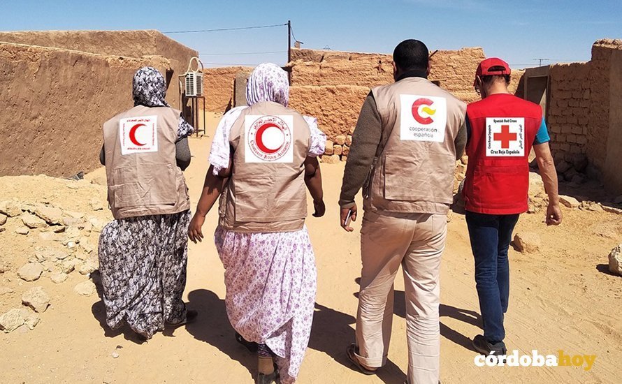 Actuación de la Cruz Roja y la Media Luna Roja en el Sahara