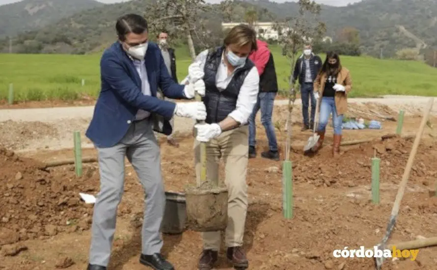 Plantaci&oacute;n de &aacute;rboles en el cintur&oacute;n verde cerca del club h&iacute;pico 2