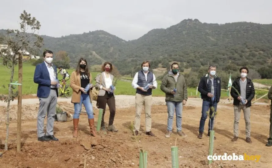 Plantaci&oacute;n de &aacute;rboles en el cintur&oacute;n verde cerca del club h&iacute;pico 4
