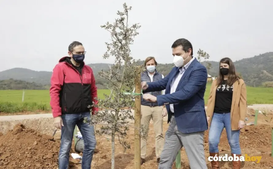 Plantaci&oacute;n de &aacute;rboles en el cintur&oacute;n verde cerca del club h&iacute;pico 5