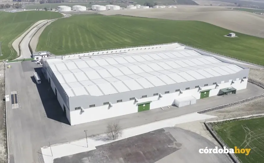 Proyecto log&iacute;stico en El &Aacute;lamo de Prourban