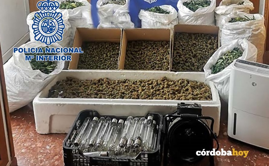 Material incautado por la Policía Nacional en El Higuerón