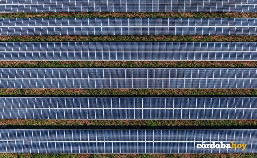paneles solares de Exiom Parque Fotovoltaico S.L