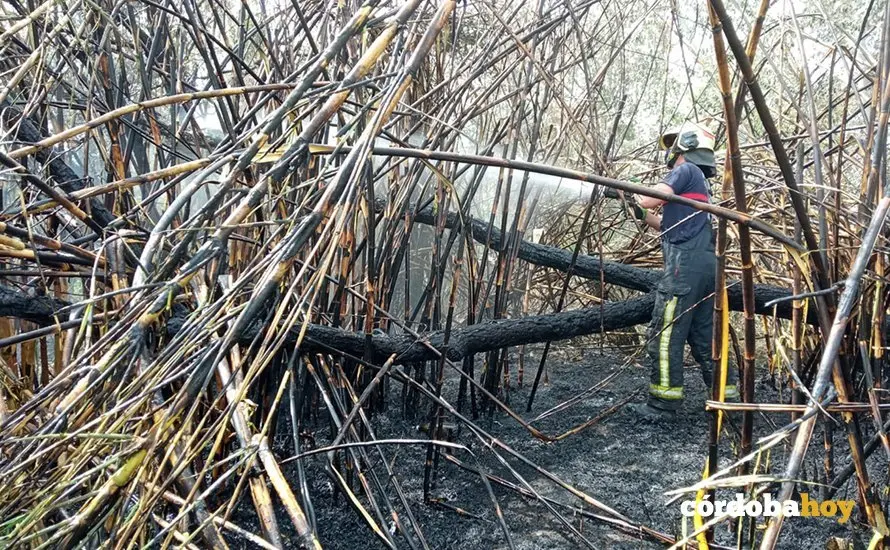 Bombero en la zona del incendio de la Ribera
