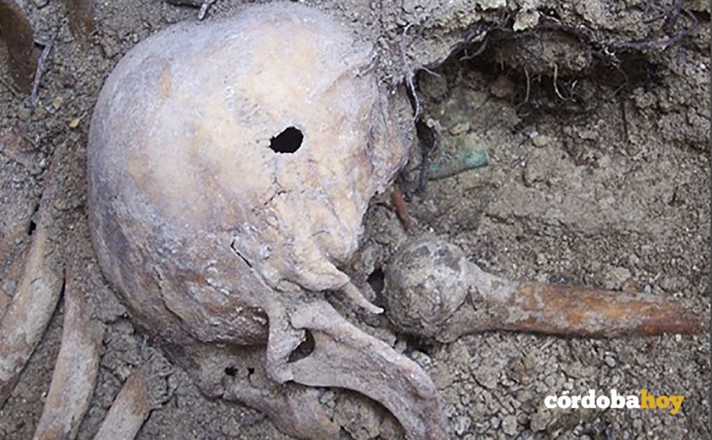 Cráneo con disparo en la nuca localizado en Aguilar de la Frontera FOTO AREMEHISA