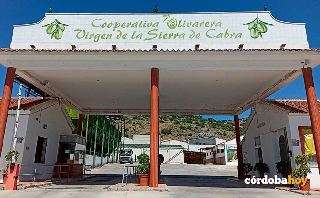 Cooperativa olivarera Virgen de la Sierra de Cabra