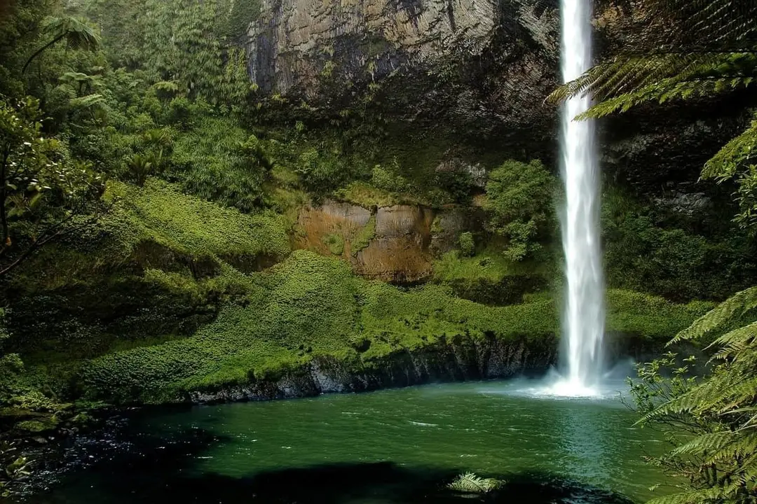  &iquest;Es seguro viajar a Nueva Zelanda todav&iacute;a en contexto de Covid-19? 