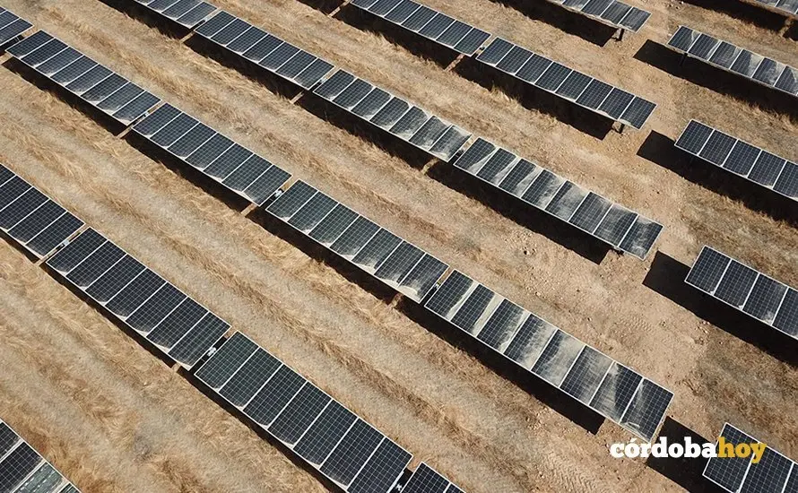 Imagen de archivo de los paneles solares de una planta fotovoltaica