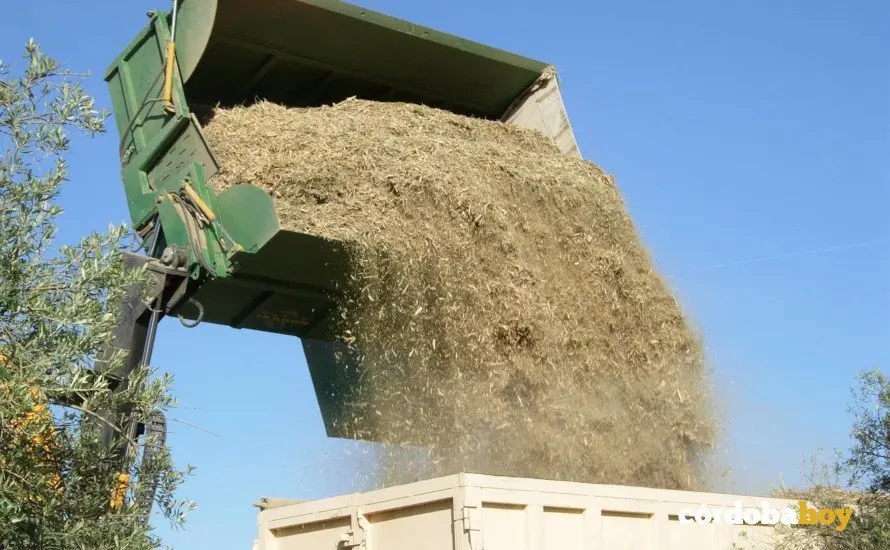 Recogida de material para la biomasa