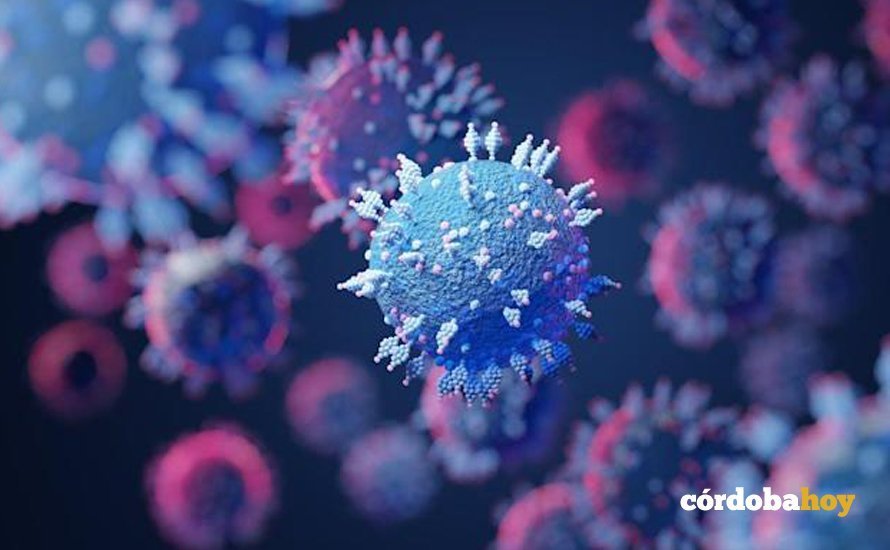 Nueva variante del Coronavirus SARS-CoV-2