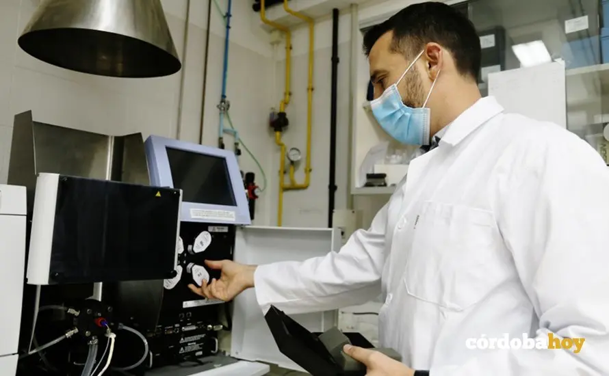 El investigador del Departamento de Agronom&iacute;a de la UCO Antonio R. S&aacute;nchez en el laboratorio