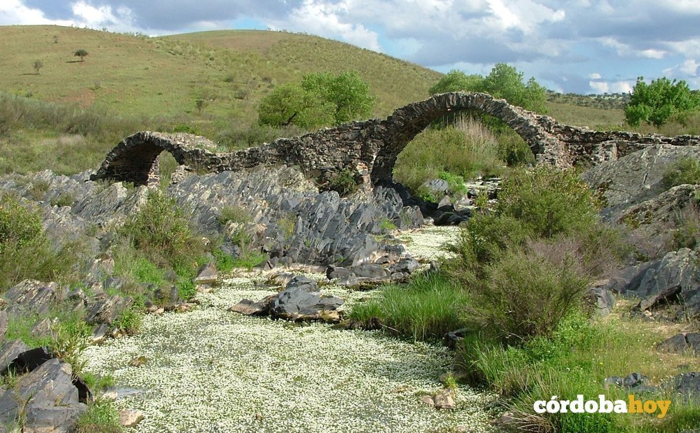 Puente Pellejero de Belalcázar. Fotografía: https://www.hispanianostra.org