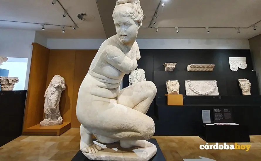 Interior del Museo Arqueol&oacute;gico de C&oacute;rdoba, en una imagen de archivo