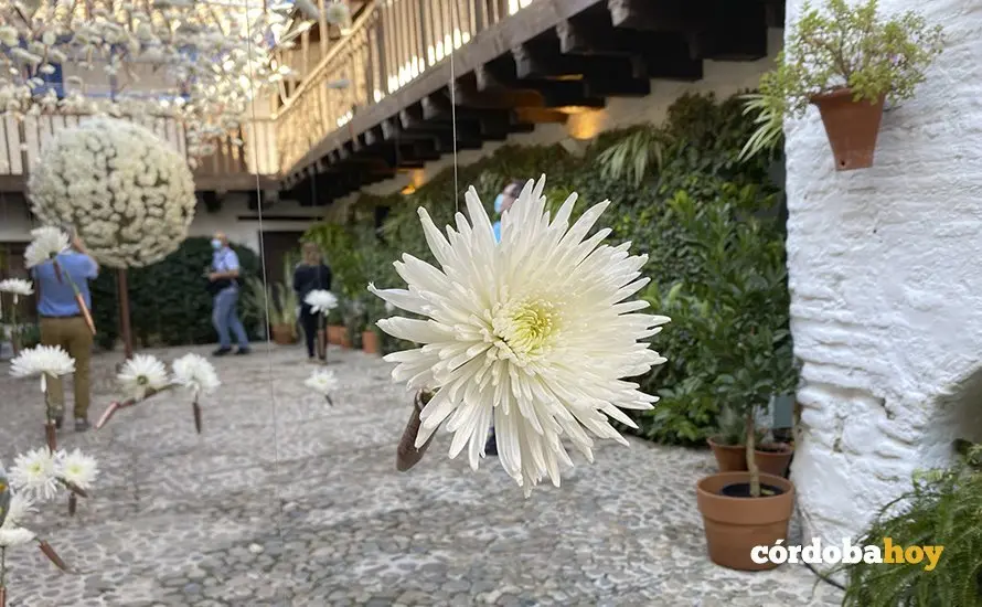Composici&oacute;n de FLORA en 2021