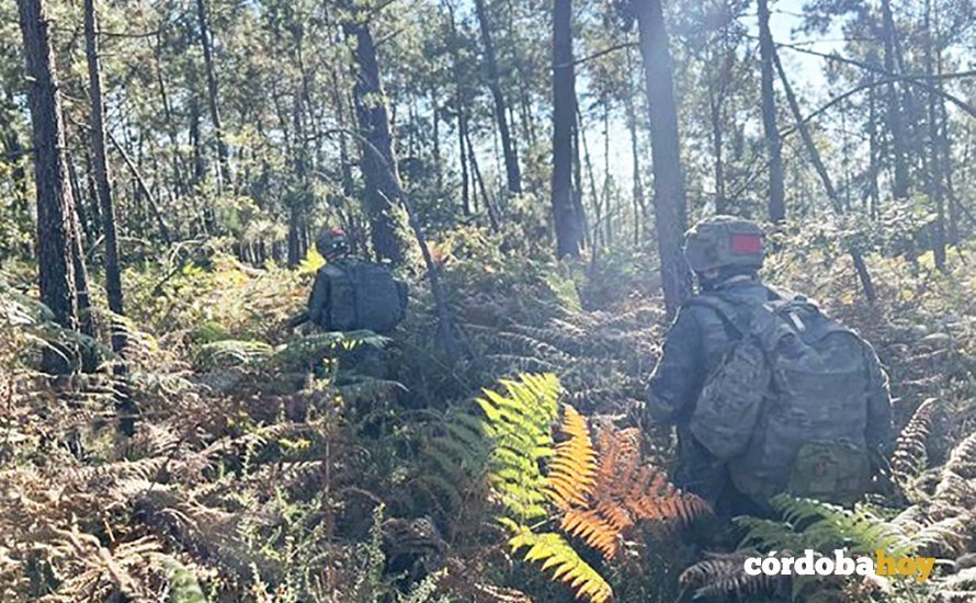 Práctica en las jornadas de combate en bosques