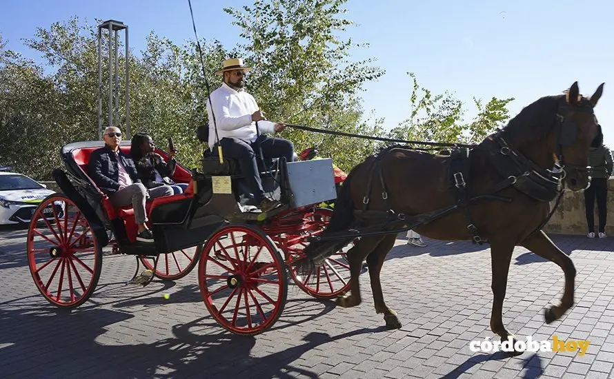 Turistas en la zona patrimonial