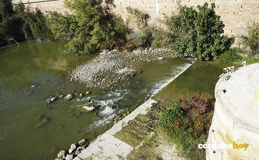 Nivel del r&iacute;o a mediados de noviembre de 2021