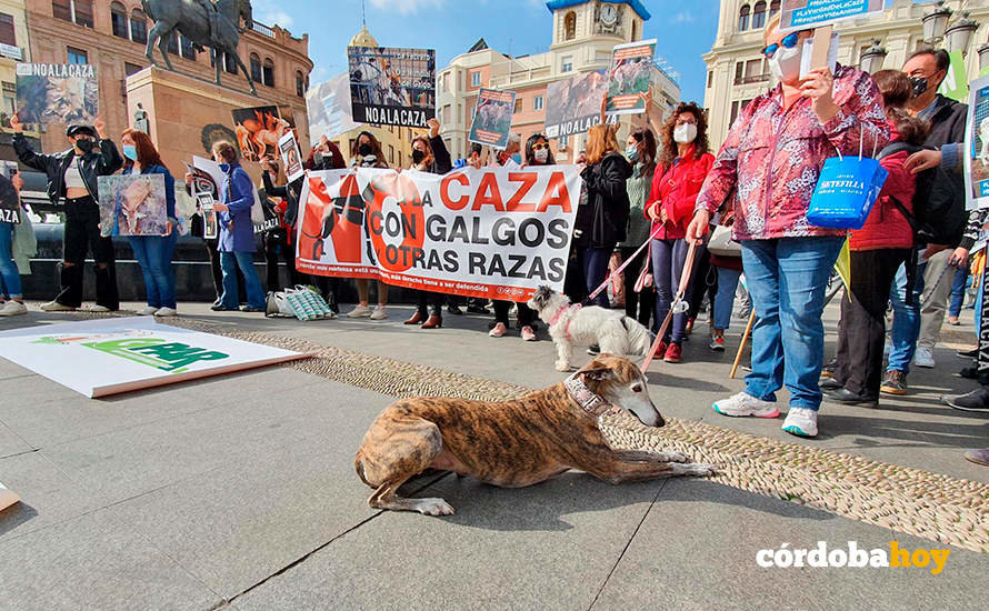 Manifestación contra la caza en Córdoba