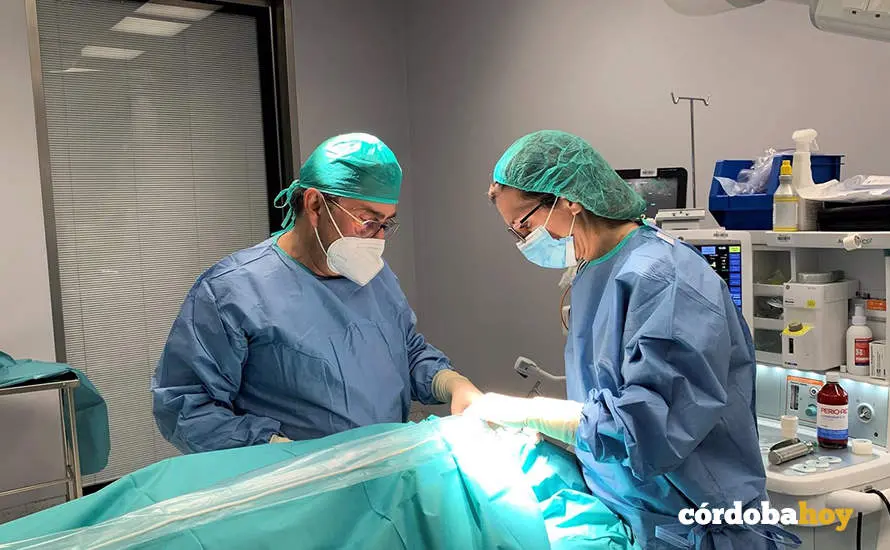 Quir&oacute;n medicos