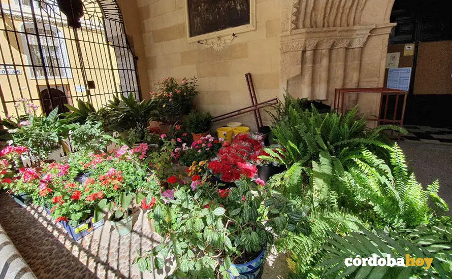 Montaje de las Cruces de Mayo de C&oacute;rdoba 2022