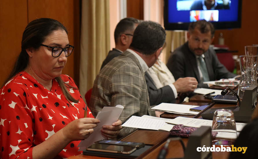 María Luisa Gómez Calero en el Pleno de hoy FOTO RAFA MELLADO SENIOR