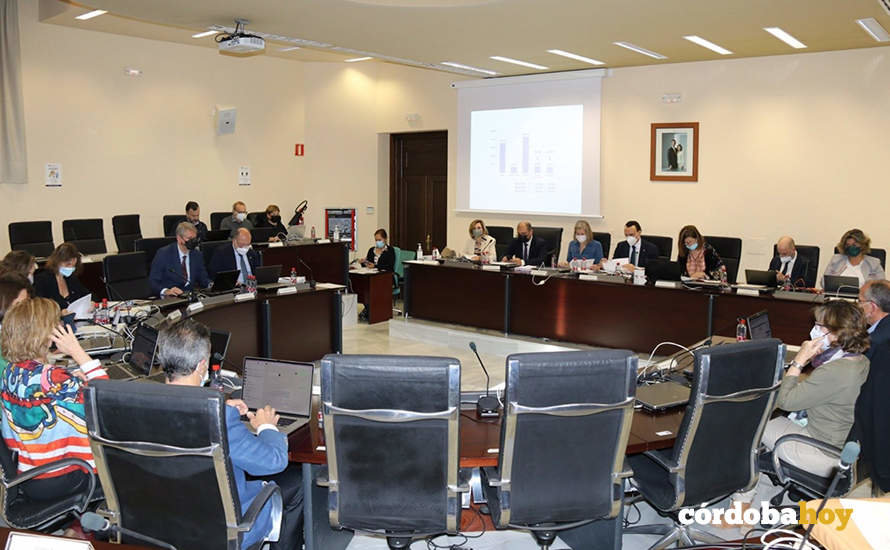 Reunión del consejo de gobierno de la Universidad de Córdoba