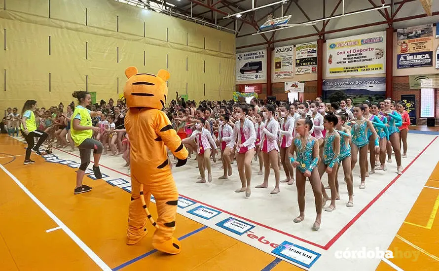 Divergym en Pe&ntilde;arroya-Pueblonuevo