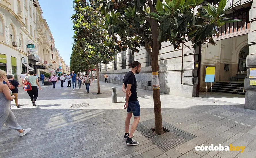 Campa&ntilde;a sindical contra el cierre de Correos