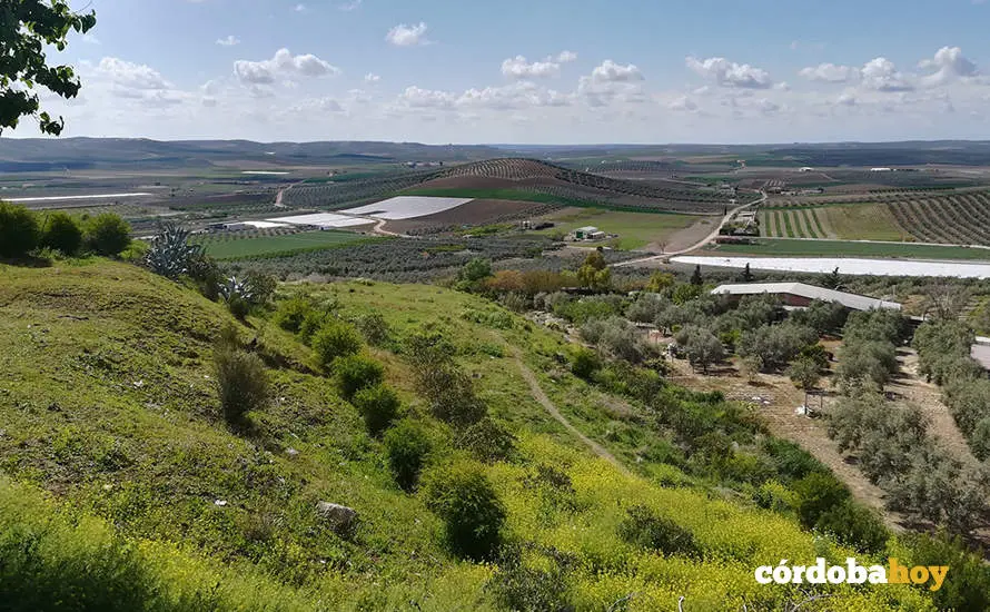 Vista de la Campi&ntilde;a Sur Cordobesa desde Montalb&aacute;n