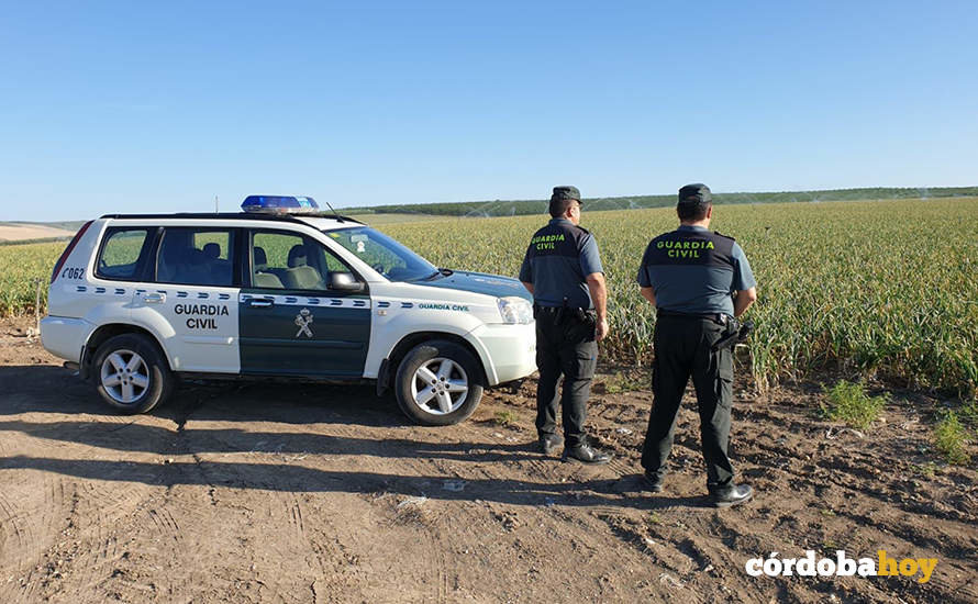 La Guardia Civil controlando la campaña del ajo en Córdoba