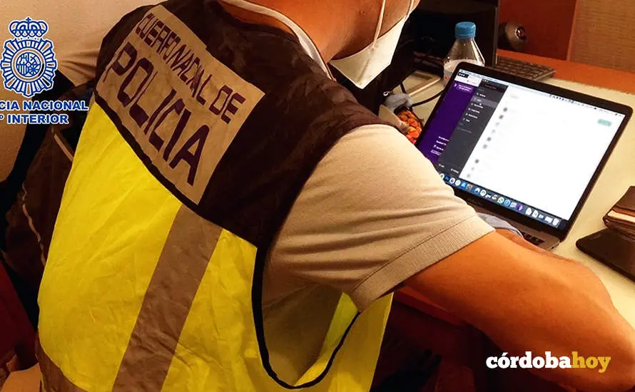 Un agente de la Polic&iacute;a Nacional delante de un ordenador en el marco de una investigaci&oacute;n