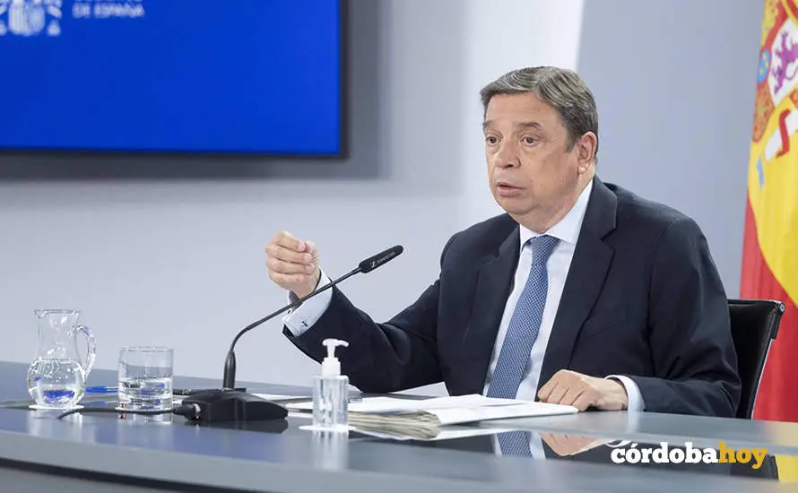 Luis Planas, ministro de Agricultura
