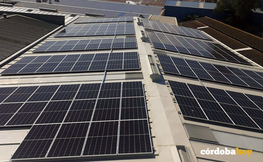 Instalación de paneles solares realizada por EnchufeSolar en la fábrica de Ubago en La Línea de la Concepción
