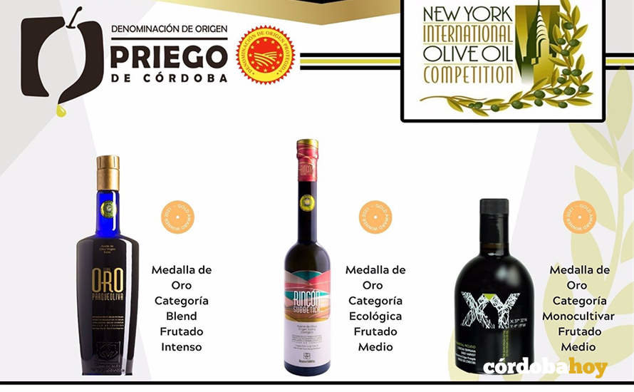 Los aceites de la DOP Priego de Córdoba ganadores del 'Nyiooc World Olive Oil Competition' 2022