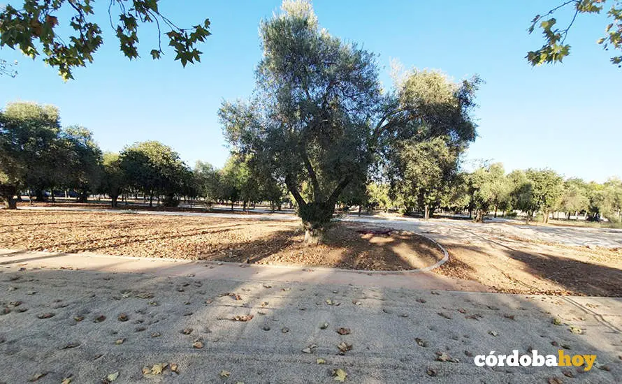Obras de remodelaci&oacute;n del circuito de El Tablero